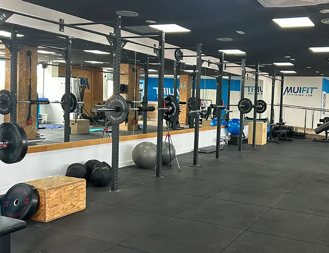 Entrenamiento Funcional